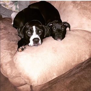 Meet your Posher, Joseph